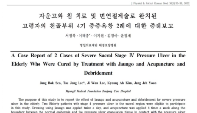 욕창치료에 대한 논문 캡쳐