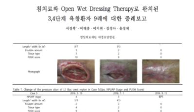 욕창치료에 대한 논문 캡쳐 2